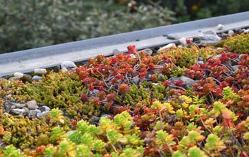 the cost of Carter Knowle green roof installation