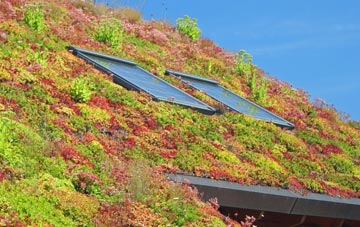 Carter Knowle living roof systems