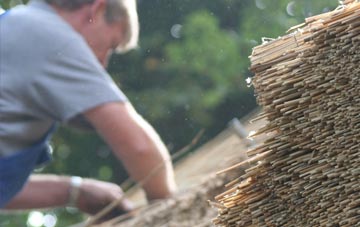 professional Carter Knowle thatchers